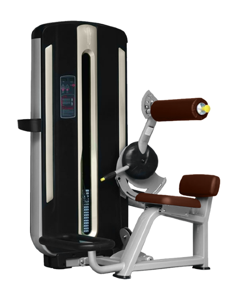 Разгибание спины Bronze Gym MNM-009 
