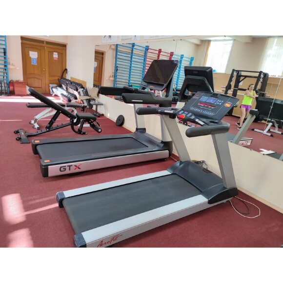 Беговая дорожка Gymmaster GT X Беговая дорожка Gymmaster GT X